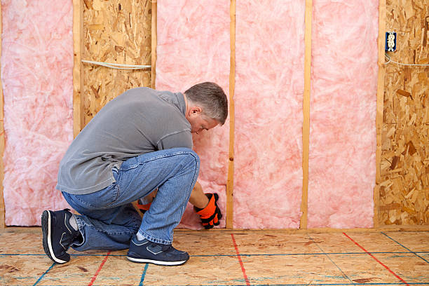 Best Batt and Roll Insulation  in Wellington, FL